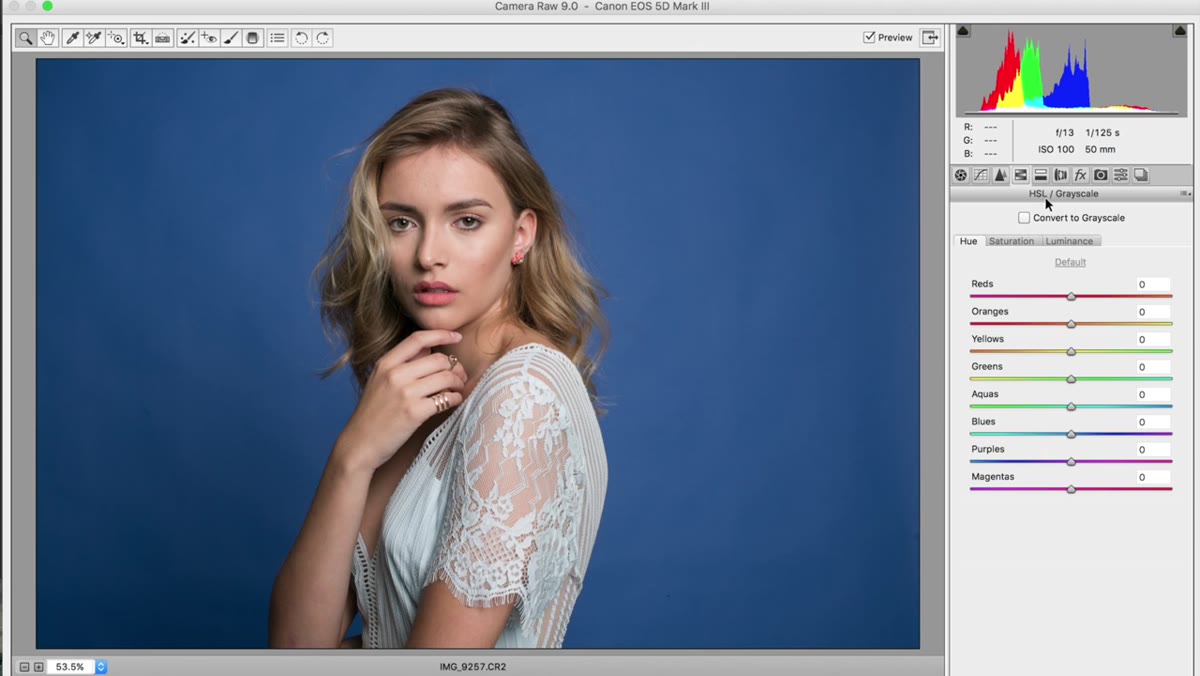 HSL panel open, Hue tab selected, Blue slider being adjusted