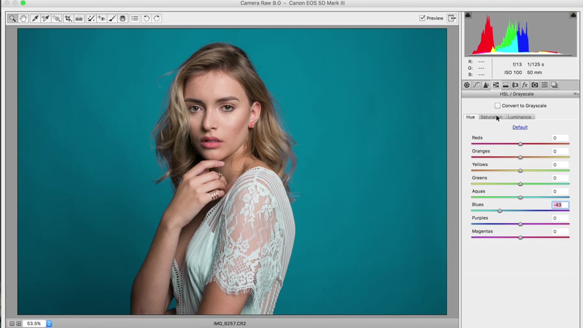 HSL Saturation tab selected, Blue slider moved to plus thirteen