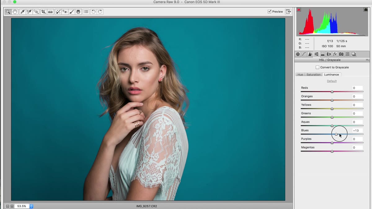 HSL Luminance tab selected with Blue channel being adjusted