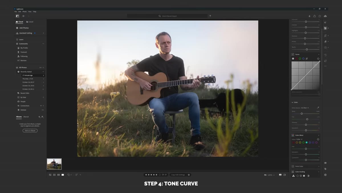 Tone curve showing gentle S-shape with custom anchor points