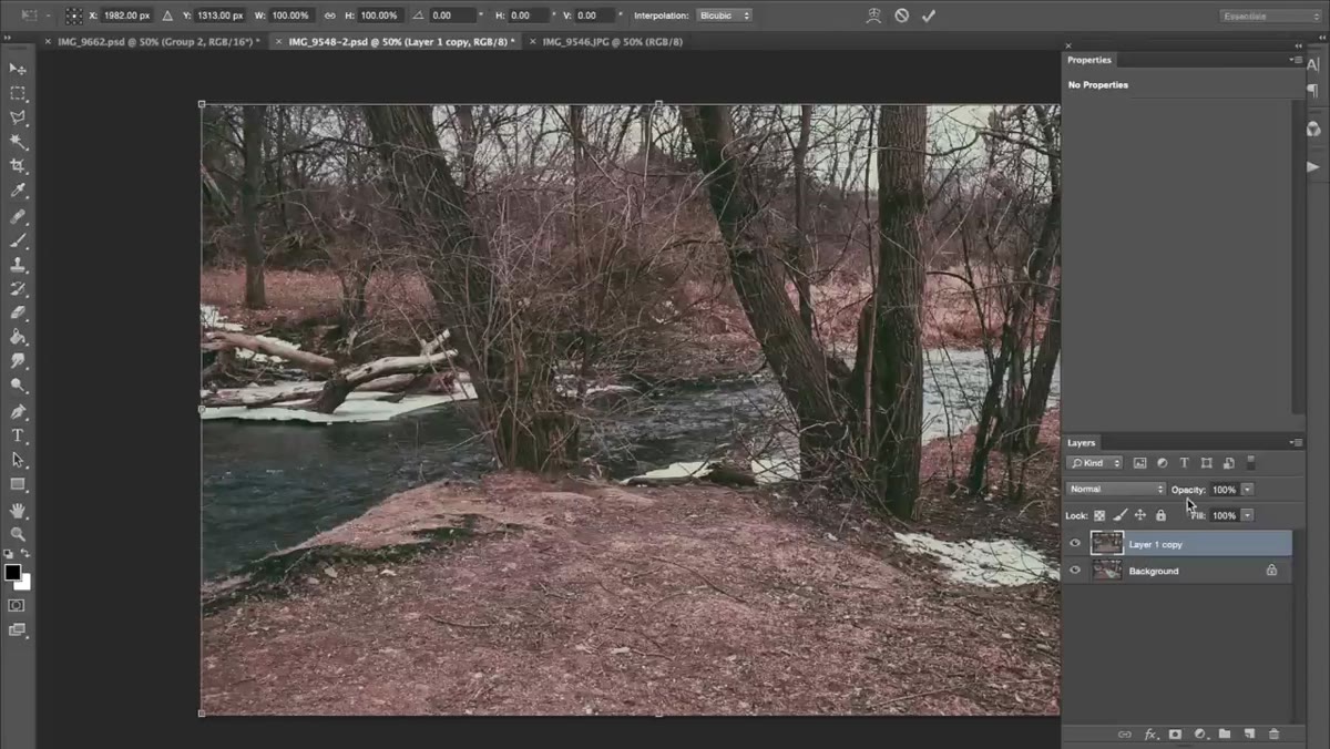 Background layer at reduced opacity overlaid on subject photo for alignment