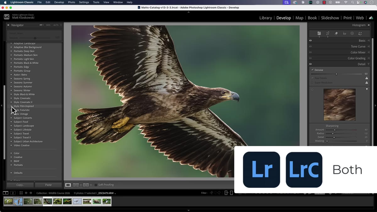 PSB large document format referenced in Lightroom cloud sync settings
