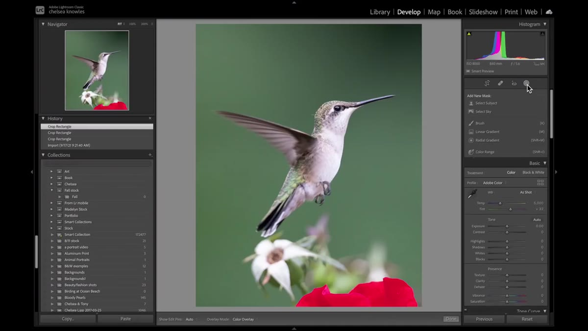 Clicking the masking circle icon in Develop module