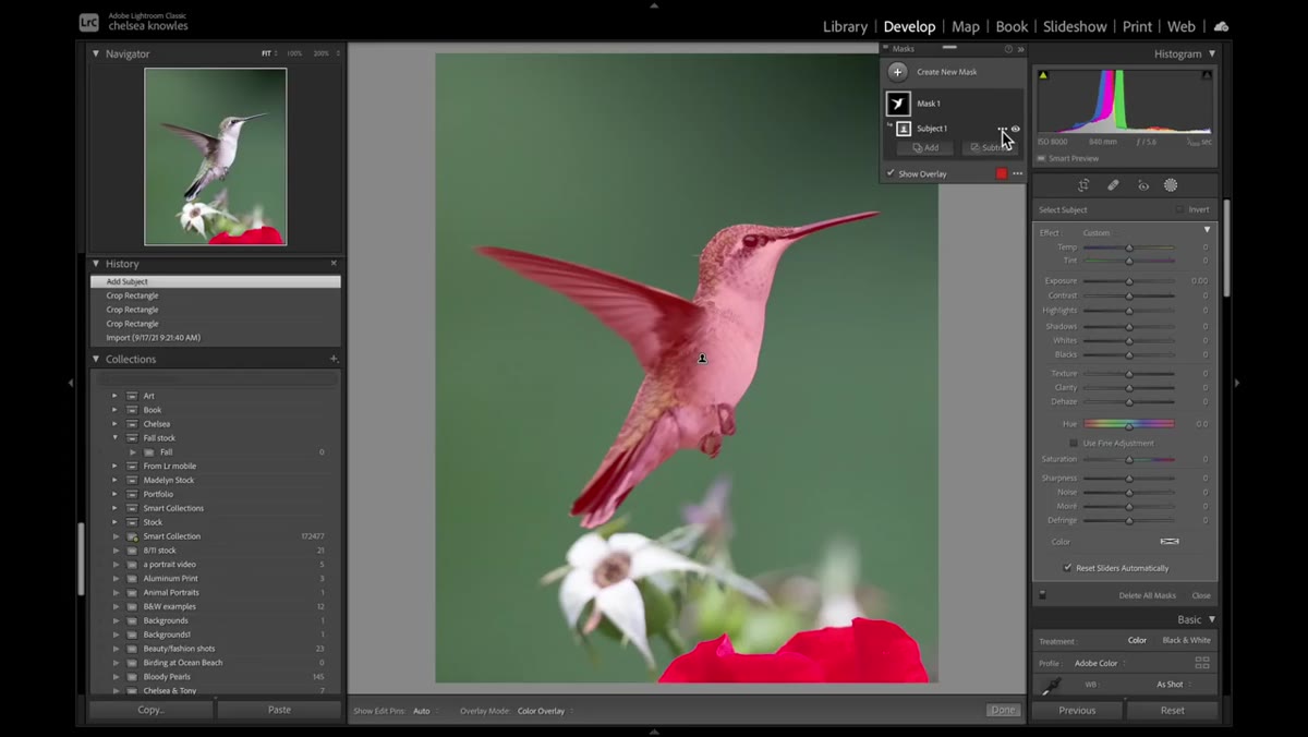 Inverting the subject mask via the ellipses menu