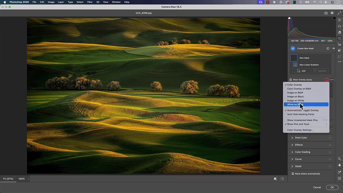 Overlay dropdown set to White on Black showing gradient mask