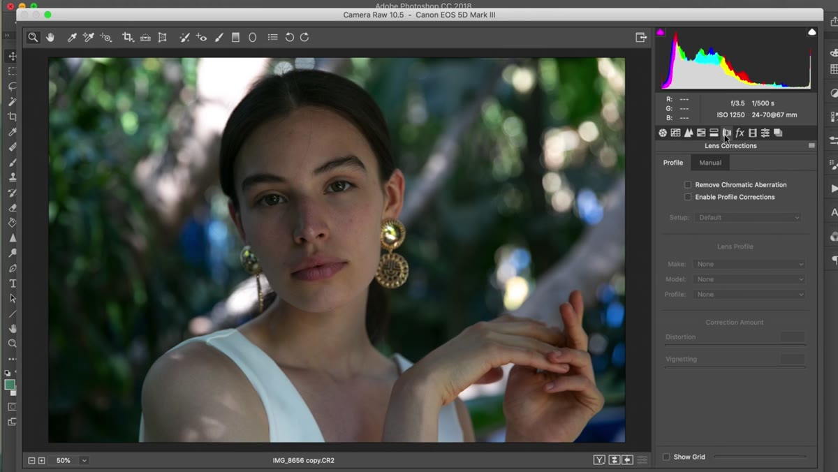 Lens Corrections tab open with profile correction checkbox enabled