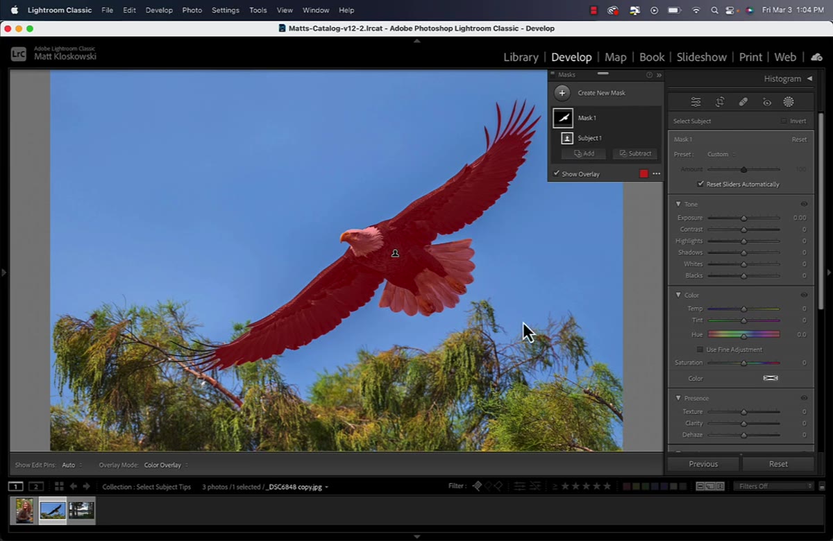 Exposure slider increased, glowing edge visible around subject