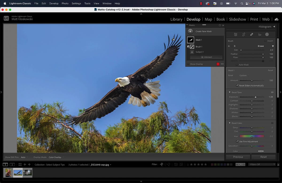 Option key held down, brush switching to Add mode mid-stroke