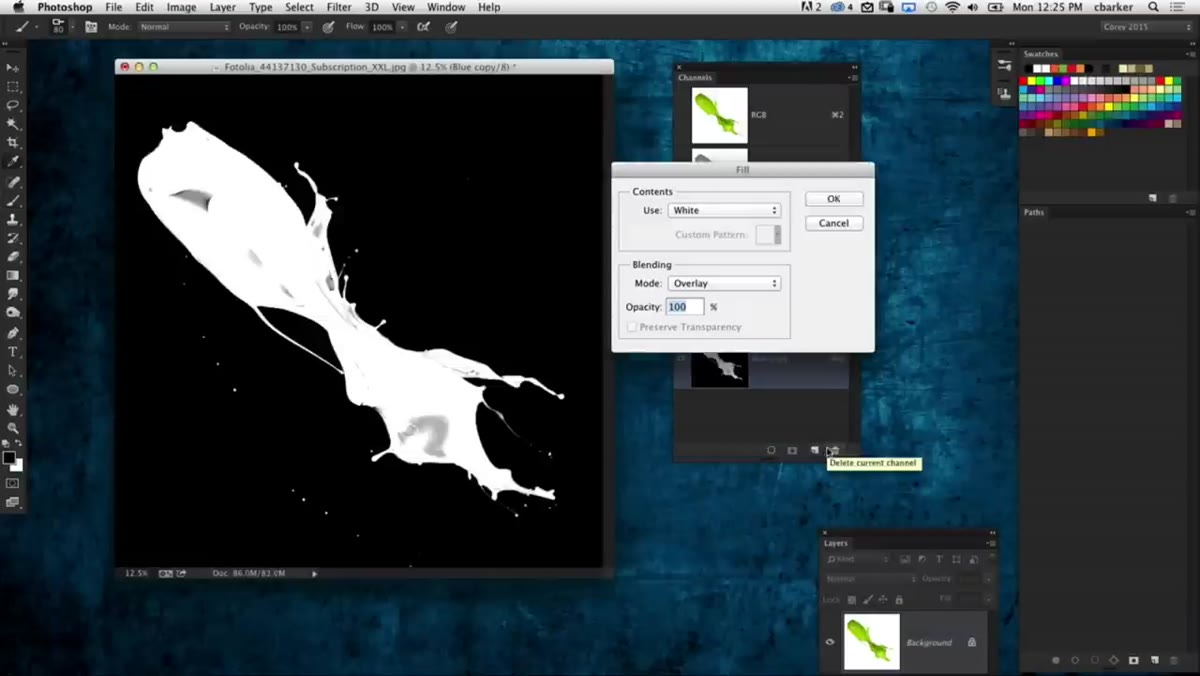 Inverted alpha channel showing white subject on black background