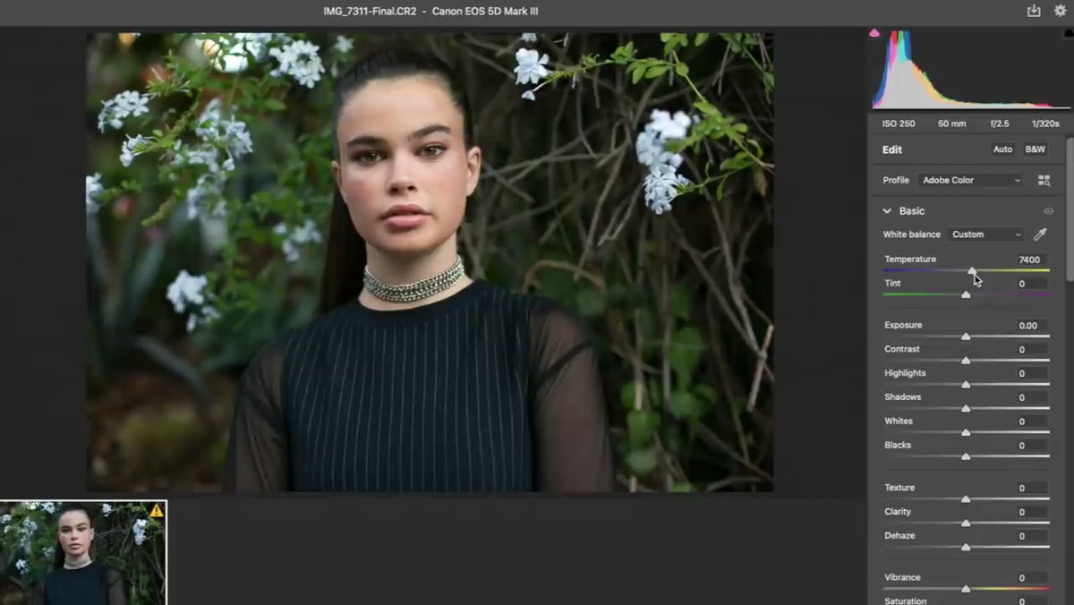 Raw file open in Photoshop&rsquo;s Camera Raw window