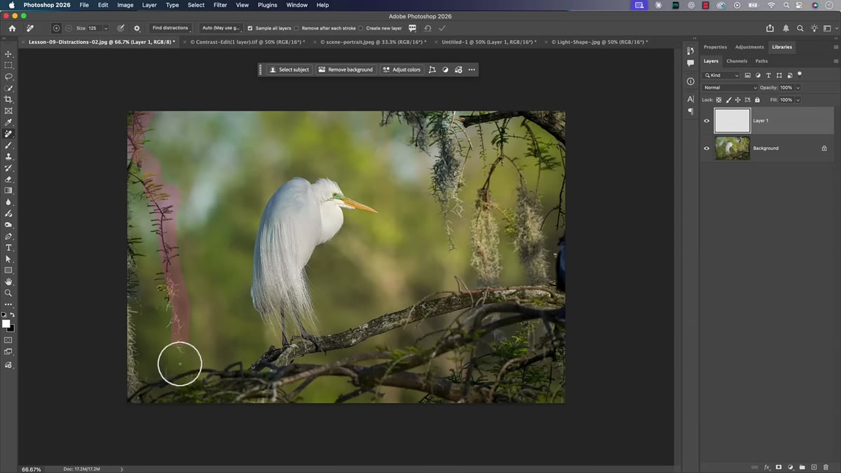 Remove tool selected in toolbar, options bar visible at top
